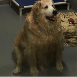 Meet your Posher, Ian